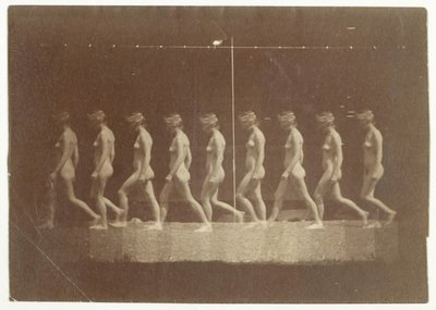 Marey Wheel Fotografias de Modelo Não Identificado, 1884. de Thomas Eakins