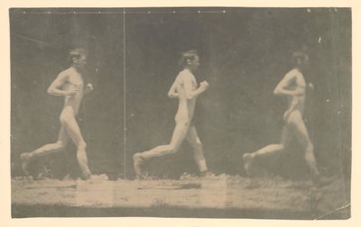Marey Wheel Fotografias de Modelo Não Identificado, 1884. de Thomas Eakins