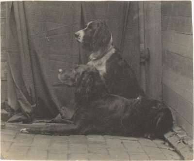 paisagem de Thomas Eakins