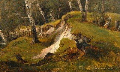 Existências de Birck em Romsdal de Thomas Fearnley