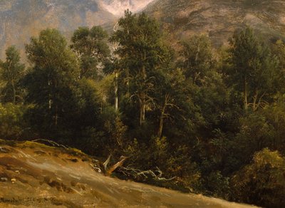 Floresta em Romsdal de Thomas Fearnley