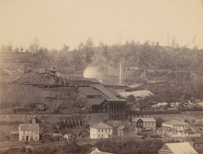 Quebrador da Eaton and Co., Archibald, Del.  Hudson Canal Co.,c. 1863-1865 (foto) de Thomas H. Johnson