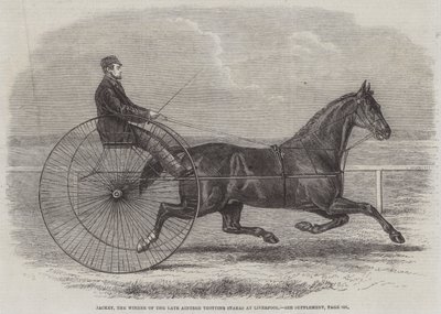 Jackey, o vencedor do final do Aintree Trotting Stakes no Liverpool de Thomas Harrington Wilson
