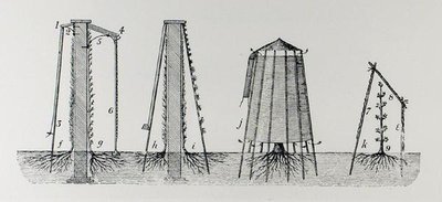 Proteger a flor da geada, de "The Art and Craft of Garden Making" de Thomas Mawson, publicado 1900 (gravura) (foto a p/b) de Thomas Hayton Mawson