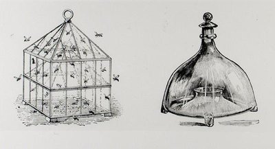 Wasp and fly traps, de Thomas Mawson 