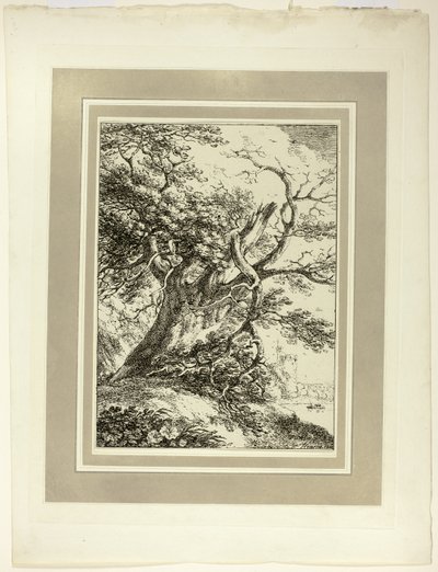 Old Tree, da primeira edição de Specimen of Polyautography de Thomas Hearne