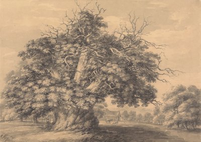 A Castanheira em Little Wymondley, Hertfordshire de Thomas Hearne