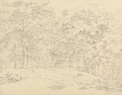 Árvores em Ashtead Park, Surrey de Thomas Hearne