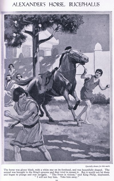 O cavalo de Alexandre, Bucéfalo: o cavalo era preto brilhante com uma estrela branca na testa, c.1950 (litografia) de Thomas Heath Robinson