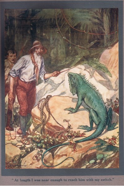 Finalmente, estava suficientemente perto para o alcançar com o meu interrutor (litografia a cores) de Thomas Heath Robinson