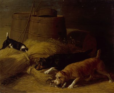 Ratos entre as Barley Sheaves, 1851. de Thomas Hewes Hinckley