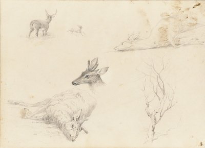 Caderno de esboços de paisagens e animais, 1860-64. de Thomas Hewes Hinckley