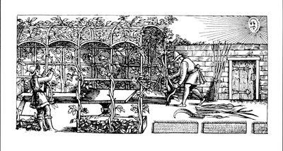Arbor sendo construído como uma sombra contra o sol, de &39;The Gardener&39;s Labyrinth&39;, 1586 de Thomas Hill