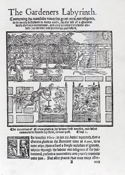 Arbor construído como uma sombra contra o sol e plantando em camas levantadas, de The Gardeners Labyrinth, 1577 de Thomas Hill