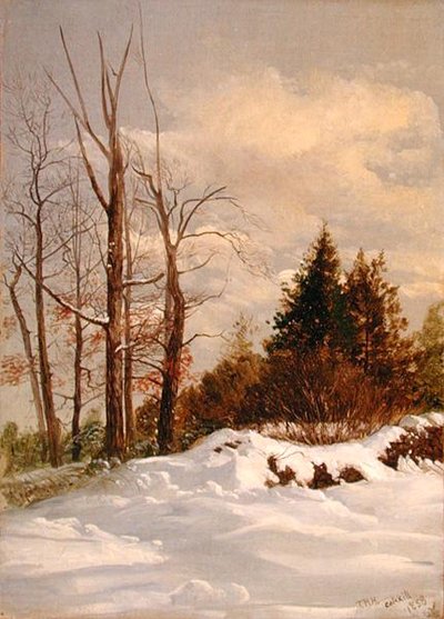 Catskill Winter Landscape de Thomas Hiram Hotchkiss