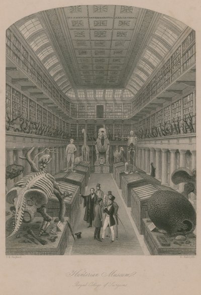 Museu Hunterian, Royal College of Surgeons, Londres de Thomas Hosmer Shepherd