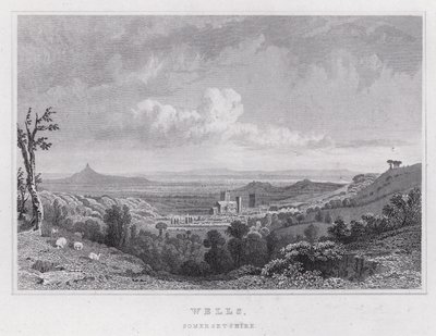 Wells, Somersetshire (gravura) de Thomas Hosmer Shepherd