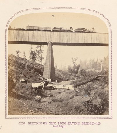 Secção da ponte de Long Ravine de Thomas Houseworth