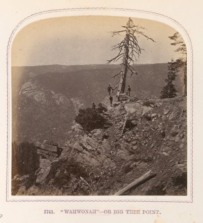 "Wahwonah" - Ou Big Tree Point de Thomas Houseworth