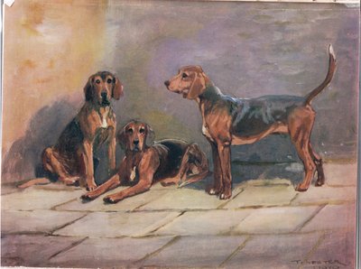 Cães, ilustração de &39;Hounds&39; de Thomas Ivester Lloyd