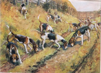 Nariz para o chão, ilustração de &39;Hounds&39; de Thomas Ivester Lloyd