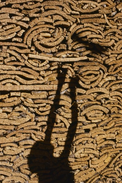 Sombra de um homem a empilhar cortiça para exportação de Marrocos de Thomas J. Abercrombie