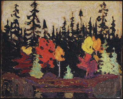 Black Spruce e Maple, 1915 (óleo sobre painel de madeira) de Tom Thomson