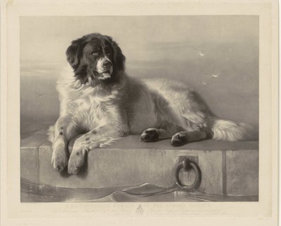 Retrato do cão de resgate Bob, deitado em um cais Um Distinto Membro da Humane Society (título no objeto) de Thomas Landseer