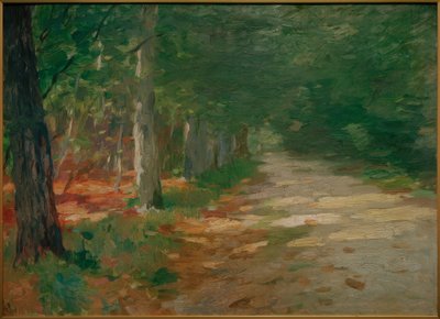 Caminho da floresta com manchas solares de Thomas Ludwig Herbst