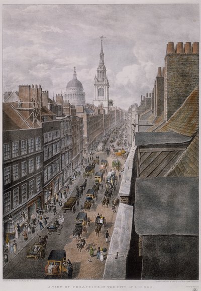 paisagem de Thomas Mann Baynes