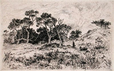 Um Vento do Sul e um Céu Nublado Proclamam-na uma Manhã de Caça (gravura) de Thomas Moran