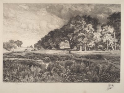 Paisagem de Long Island de Thomas Moran