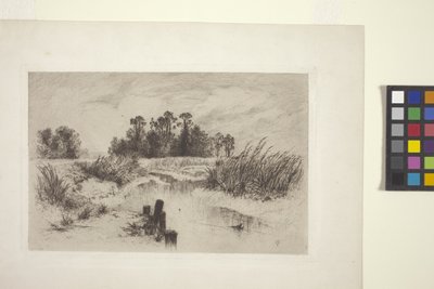 Paisagem pantanosa com riacho (gravura em papel) de Thomas Moran