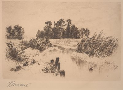 Passaic Meadows (em Newark Meadows) de Thomas Moran