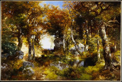 A piscina da floresta, 1909 de Thomas Moran