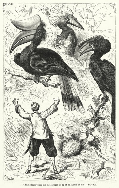 Ilustração para Gullivers Travels de Jonathan Swift (gravura) de Thomas Morten