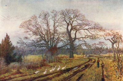 Início da primavera, perto de Victoria, Colúmbia Britânica (litografia a cores) de Thomas Mower Martin