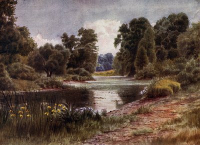 Kew Gardens: The Lake, Looking South (cor litho) de Thomas Mower Martin