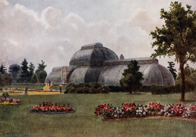 Kew Gardens: The Palm House (cor litho) de Thomas Mower Martin