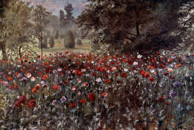 Kew Gardens: As camas de papoila (cor litho) de Thomas Mower Martin
