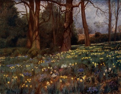 Kew Gardens: O Jardim Selvagem na Primavera (cor litho) de Thomas Mower Martin