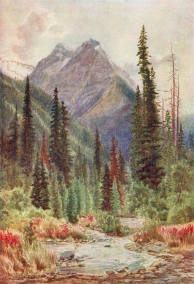 Pico Ross, Montanhas Selkirk, Colúmbia Britânica (litografia a cores) de Thomas Mower Martin
