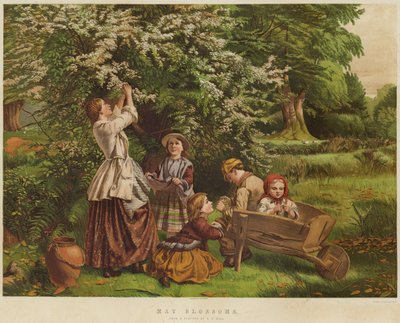 Flores de maio (cromolitho) de Thomas P. Hall