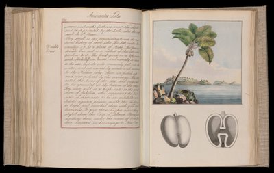 África etíope. "Outlines of the Globe" ou "Imaginary World Tour" em vinte e três volumes - narrativas, história natural e esboços de Thomas Pennant (1726-1798), naturalista, viajante e escritor de Thomas Pennant