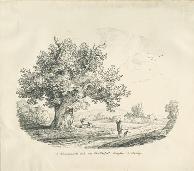 Arley - Altura de Shatterfort: litografia, 1839 de Thomas Peploe Wood