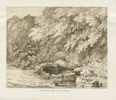 Codsall Wood - Brimstone Well: desenho sépia de Thomas Peploe Wood