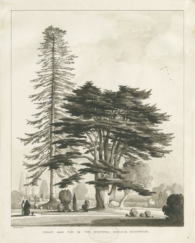 Reitoria Haughton: desenho em sépia de Thomas Peploe Wood