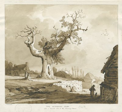 Norbury Village - &39;The Norbury Elm&39;: desenho em sépia de Thomas Peploe Wood