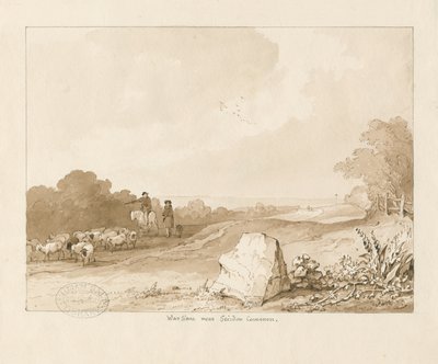 Trysull - "Pedra de Guerra perto de Seisdon Common": desenho de lavagem com caneta e sépia, 1837 de Thomas Peploe Wood