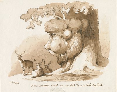 Wolseley Park - Nó em uma árvore de carvalho: desenho a caneta e sépia de Thomas Peploe Wood